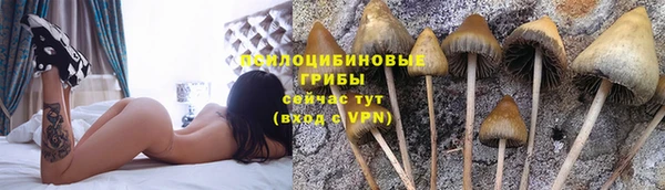молекула духа Баксан